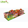 Synthesize Amusement Park Children Indoor Play Ground Equipment and Various Toy